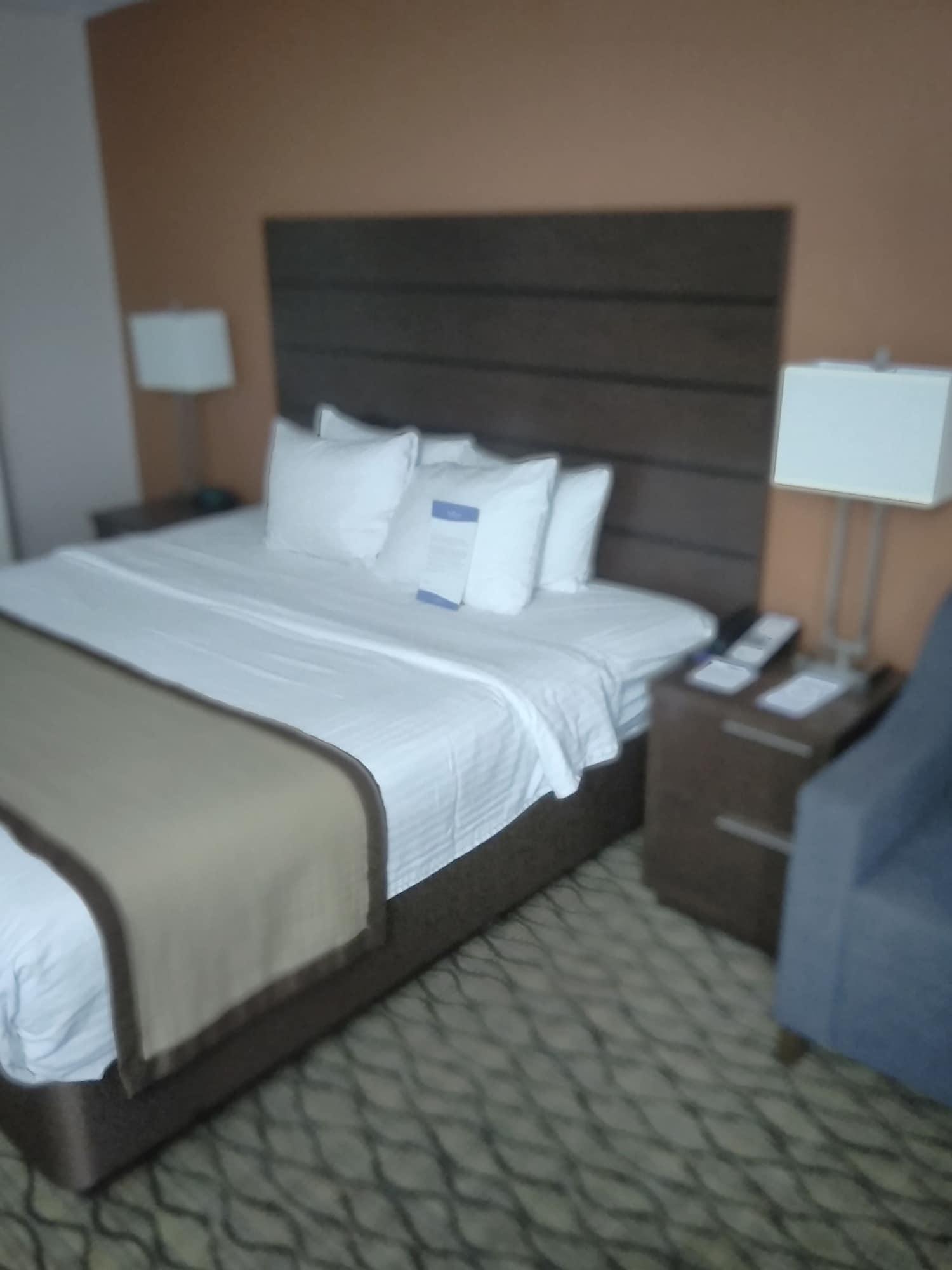 Hotel Baymont By Wyndham Madison Heights Detroit Area Extérieur photo