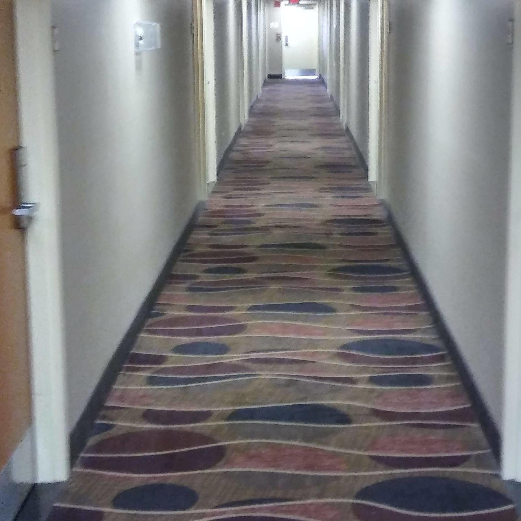 Hotel Baymont By Wyndham Madison Heights Detroit Area Extérieur photo